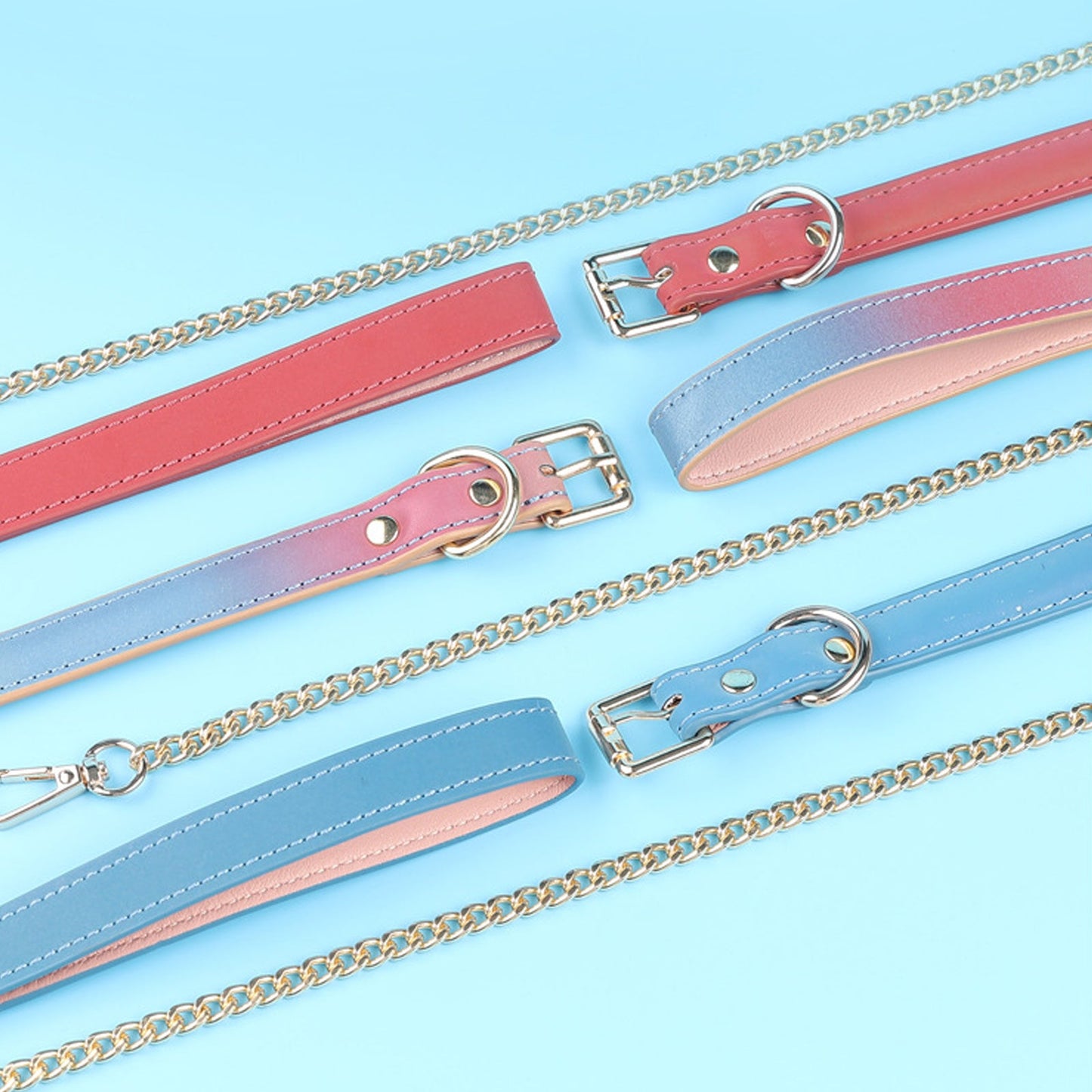 Reflective Leather Gothic Nightclub Leash