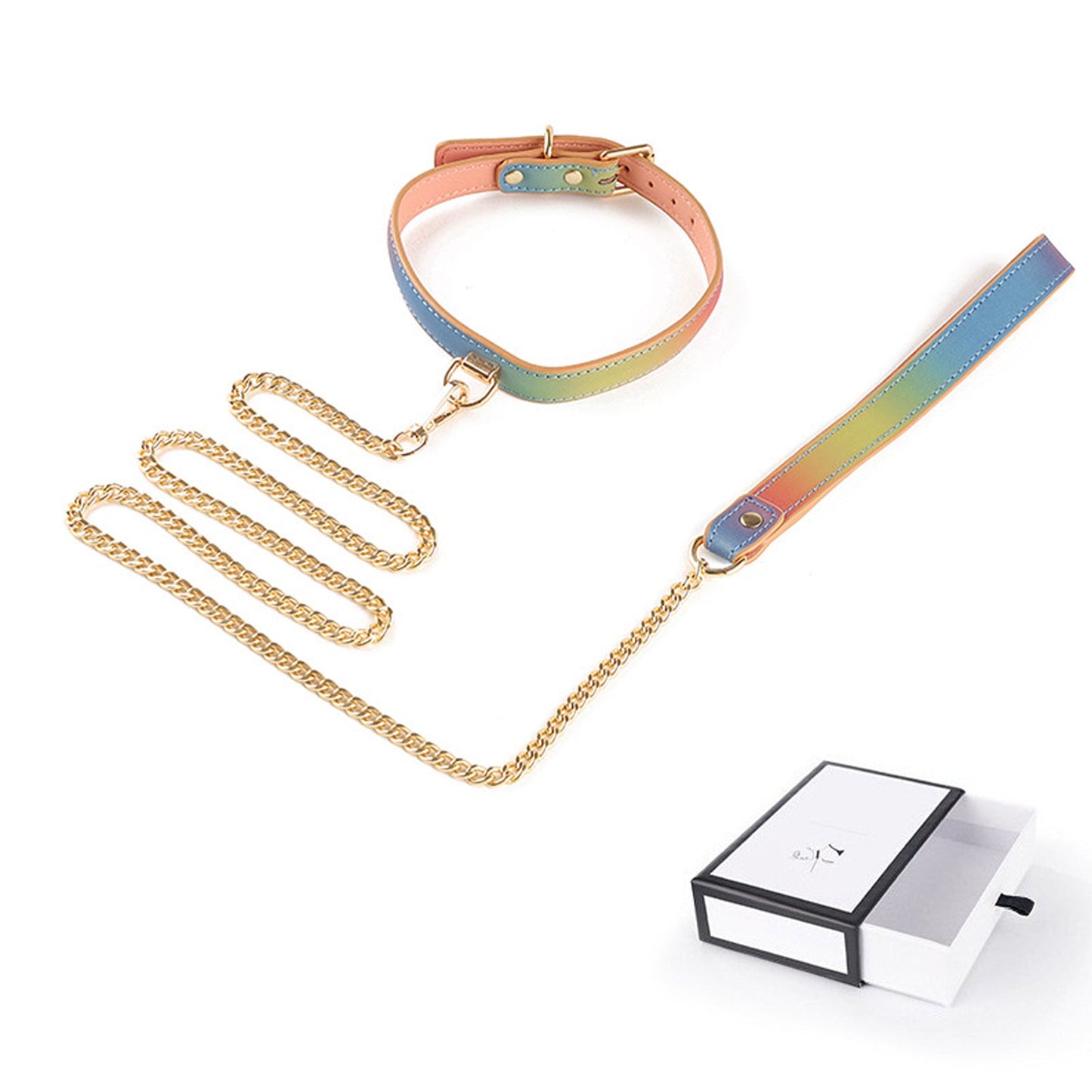 Reflective Leather Gothic Nightclub Leash